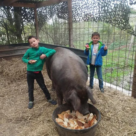 Tatil Evi Belevingshoeve 