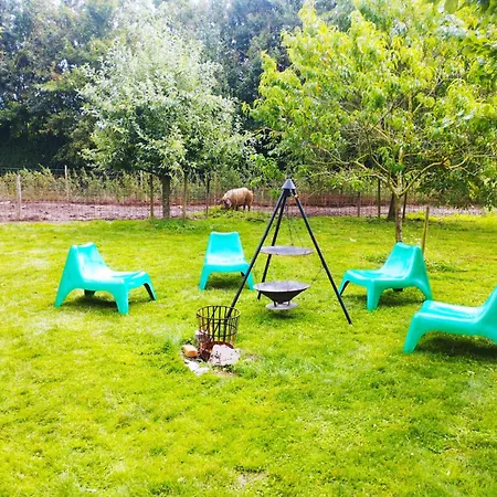Belevingshoeve 